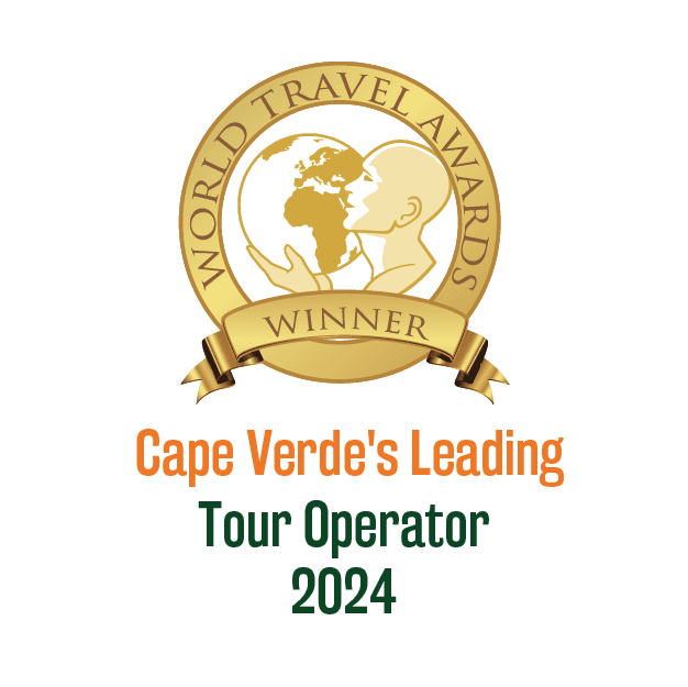 Satguru Travle Awards_3 Website Work-08