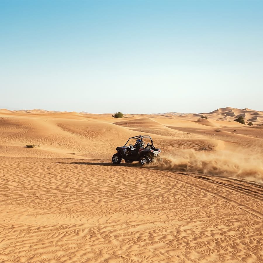 desert safari