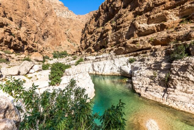 Wadi Shab & Cliff Jumping Adventure